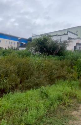 Well Located 1300sqm in a Developing Area, Ajayi Apata Estate Off Lekki Epe Express, Sangotedo, Ajah, Lagos, Residential Land for Sale