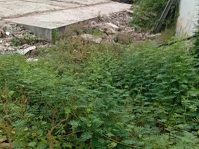 288 Square Meters Land with Demolishable Bungalow — On Interlocking Street Off Pipeline Road, Fagba, Agege, Lagos