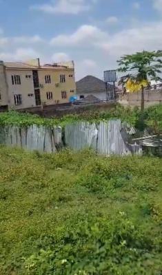 1,217.75sqm, Residential, C of O, Tarred Road, Off Linder Chalker Street, Asokoro District, Abuja, Residential Land for Sale