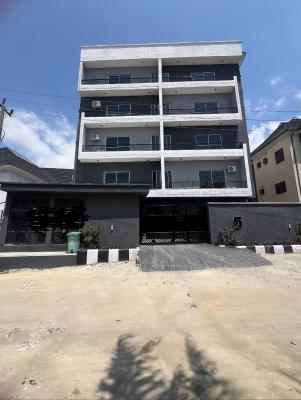 Beautiful 2 Bedroom Apartment with Swimming Pool, Ikate, Lekki, Lagos, House for Rent
