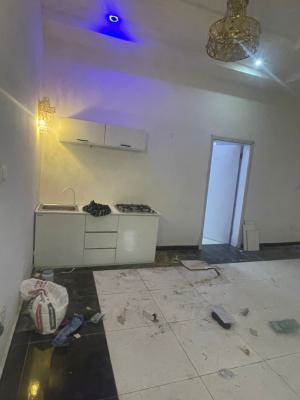 Spacious Mini Flat with Open Plan Kitchen, Ikota, Lekki, Lagos, Mini Flat (room and Parlour) for Rent
