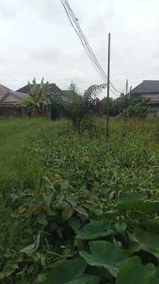 Bonanza: Full Plot of Bare Land, Obawole, Ogba, Ikeja, Lagos, Residential Land for Sale