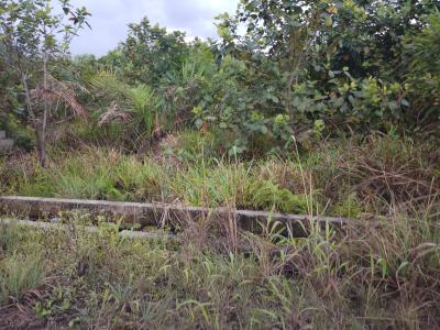 Well Secured Land, Lekki Schem 2, Ajah, Lagos, Residential Land for Sale
