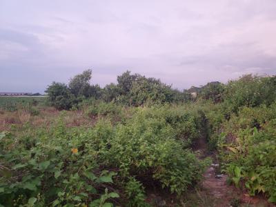 Standard Plot of Land, Unilag Estate  Extention, Gra Phase 1, Magodo, Lagos, Land for Sale