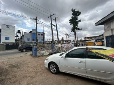 Fantastic Land, Adeniyi Jones, Ikeja, Lagos, Land for Sale