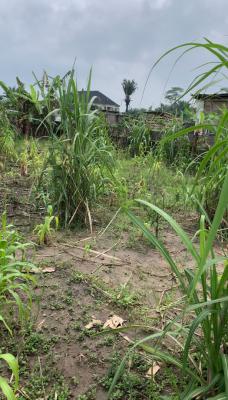 Dry Plot of Land, New Road, Badore, Ajah, Lagos, Mixed-use Land for Sale
