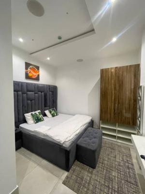 1-bedroom Furnished Apartment, Off Fatai Arobieke, Lekki Phase 1, Lekki, Lagos, Mini Flat (room and Parlour) for Rent