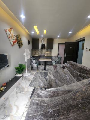 Luxurious Fully Furnished Executive 1 Bedroom, Akoka, Yaba, Lagos, Mini Flat (room and Parlour) for Rent