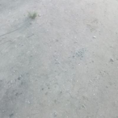 a Plot in Green Ville Estate Badore Ajah Lekki, Distress Sale Full Plot at Unity Estate Badore Ajah Lekki, Lekki, Lagos, Residential Land for Sale