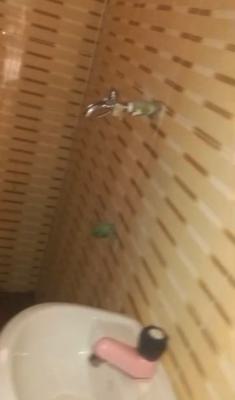 Newly Built Mini  Flat  in a Good Area and Very Accessible, Abule Oja, Yaba, Lagos, Mini Flat (room and Parlour) for Rent