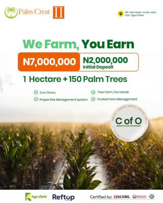 The Crest of Innovation in Palm Oil, Imeko Afon Local Government, Ogun State,, Imeko Afon, Ogun, Land for Sale