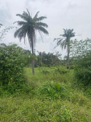 2 Plots of Land, Okesege, Igbooye-epe, Epe, Lagos, Mixed-use Land for Sale