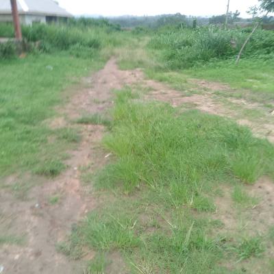 a Serviced Plot of Land, Royal Garden Estate, Ajah, Lagos, Residential Land for Sale