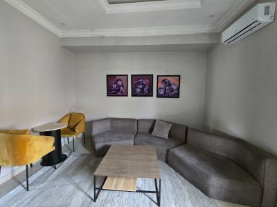 Tastefully Finished & Serviced Nine (9) Units of Miniflats, Lekki Phase 1, Lekki, Lagos, Mini Flat (room and Parlour) for Rent