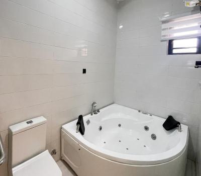 Tastely Furnished 3 Bedroom Semi Detached Duplex, Ikate, Ikate, Lekki, Lagos, Semi-detached Duplex for Rent