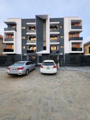 Well Maintained Serviced Spacious 2bedrooms Apartment, in a Proper Secured Neighborhood, Ikate, Lekki, Lagos, Flat / Apartment for Rent