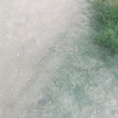 1000 Acres of Land, Lekki, Lagos, Residential Land for Sale