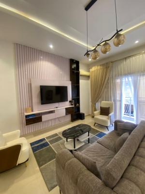 Well Maintained Spacious Serviced 1bedroom Apartment, in a Proper Secured Estate, Osapa, Lekki, Lagos, Mini Flat (room and Parlour) for Rent