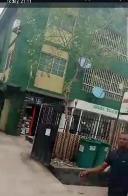 Solid and Well Maintained Structure, Off Olowu Street, Ikeja, Lagos, Block of Flats for Sale