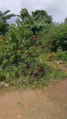 Bare Land in a Secured and Calm Environment, Anthony, Anthony, Maryland, Lagos, Residential Land for Sale