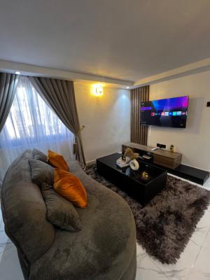 Asokoro Luxury  Apartments 2, Asokoro District, Abuja, Mini Flat (room and Parlour) Short Let