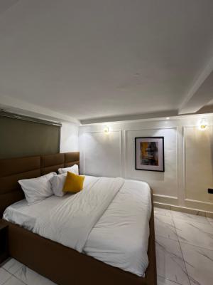 Asokoro Luxury Apartment 3, Asokoro District, Abuja, Self Contain (single Rooms) Short Let