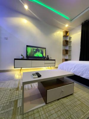 Lovely Studio Apartment for Monthly Stay, Jibowu, Yaba, Lagos, Self Contain (single Rooms) for Rent