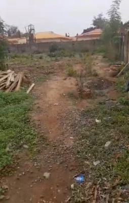 1000 Sqm Land in a Developed Area, Kaura, Abuja, Residential Land for Sale