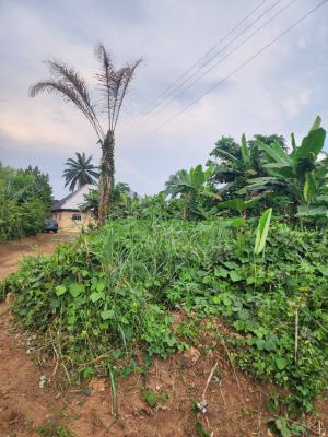 A Strategically Located Dry Land — Shelter Afrique Estate Extension, Uyo, Akwa Ibom