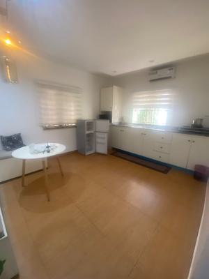 Furnished 1 Bedroom Apartment(with Pool), Jabi, Abuja, Mini Flat (room and Parlour) Short Let