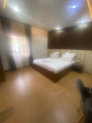 Furnished 1 Bedroom Apartment(with Pool), Jabi, Abuja, Mini Flat (room and Parlour) Short Let