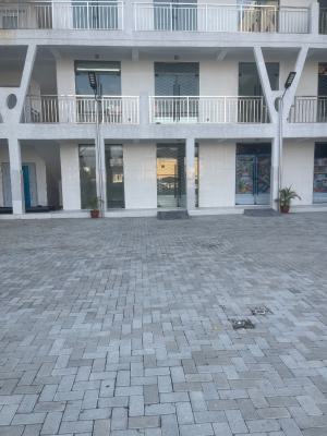 Standard Shop, Mobil Road, Ajah, Lagos, Plaza / Complex / Mall for Rent