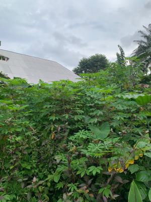 a Parcel of Land, Nung Ette, Uyo, Akwa Ibom, Residential Land for Sale