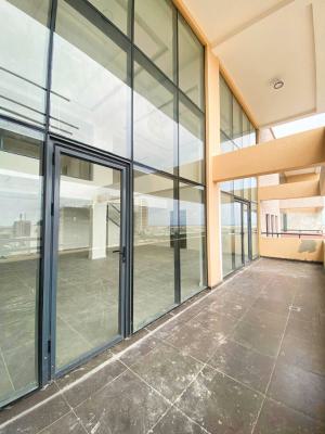 Spacious 4-bedroom Maisonette Penthouse with B/q, Tiamiyu Savage Street, Victoria Island (vi), Lagos, Terraced Duplex for Sale