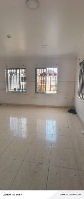 Stand Alone Building 5 Bedroom Duplex in Chevron, Chevy View Estate, Lekki, Lagos, Detached Duplex for Rent