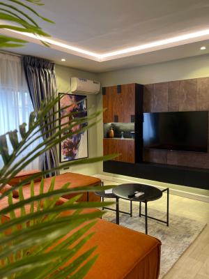 Maddison Rising Haven3 One Bedroom Apartment, Lekki Phase 1, Lekki, Lagos, Flat / Apartment Short Let