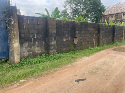 Buy & Build Land  in Modern Market Estate, Owerri Govt Allocation, Imo Modern Market Layout Extension, Irete, Owerri West, Imo, Mixed-use Land for Sale