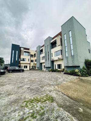 Aesthetically Built  4 Bedroom Terrace Duplex with Bq, Beautifully Designed Home in a Central and Secured Estate, Gbagada, Lagos, Terraced Duplex for Sale