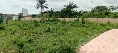 Acres of Land, Asipa Sagamu Interchange, Owode, Obafemi Owode, Ogun, Land for Sale