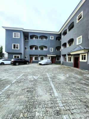 Spacious 2-bedroom Apartment, Ikate Elegushi, Lekki, Lagos, Flat / Apartment for Rent