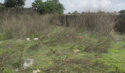 Empty Land in a Developed Location, Banana Island, Ikoyi, Lagos, Residential Land for Sale