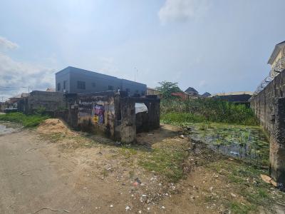 793.4sqms Land, Behind Blenco Supermarket, Sangotedo, Ajah, Lagos, Land for Sale