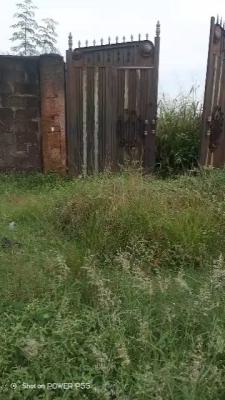 Solid Standard Half Plot of Land, Amikanle Road, Command, Ipaja, Lagos, Residential Land for Sale