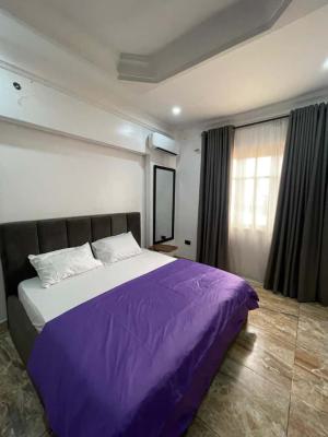 Fully Furnished Standard Mini Flat, Osapa London , Canal West, Lekki, Lagos, Mini Flat (room and Parlour) for Rent