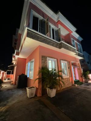 Hot Mini Flat with Osmosis Water System, Bera Estate, Lekki, Lagos, Flat / Apartment for Rent