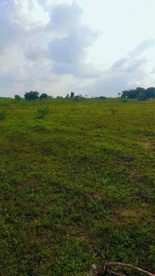 Plots of Land, Ugwogo-nike, Enugu, Enugu, Land for Sale