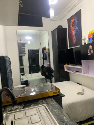 Exquisite Fully Furnished Studio Apartment, Ikate, Ikate, Lekki, Lagos, Self Contain (single Rooms) for Rent