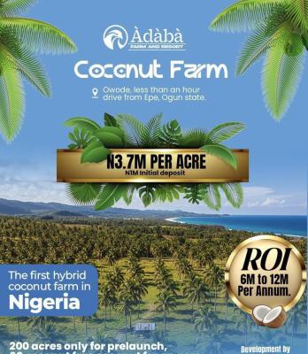 Affordable Land for Farming with Yearly Earning (coconut Farm), Adaba Dove Located Owode 1hour Drive From Epe Tollgate/roundabout, Ijebu Ode, Ogun, Land for Sale