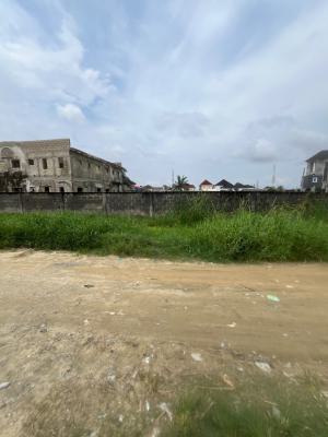Spacious Dry Land Half Plot in a Serene Environment, Mobil Road, Ilaje, Ajah, Lagos, Residential Land for Sale