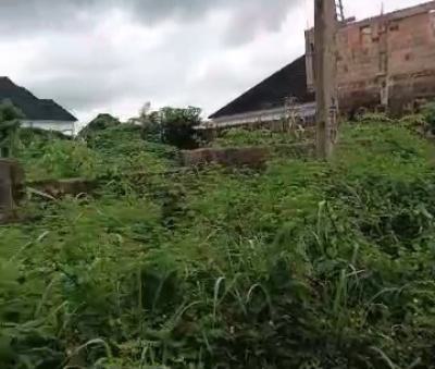 100ft By 100ft Land Title C of O, Arougba Community, Off Airport Road Gra, Benin, Oredo, Edo, Land for Sale